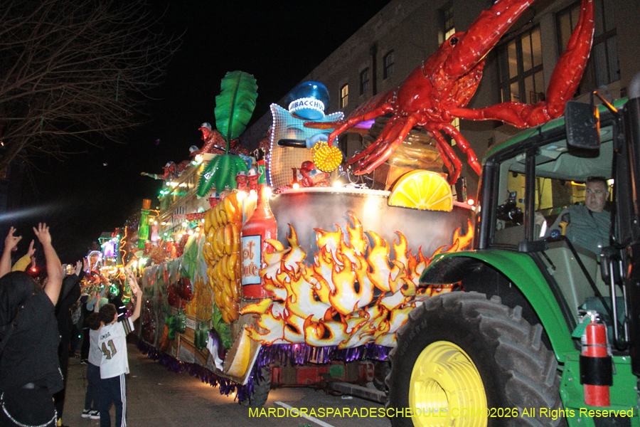 Krewe-of-Bacchus-2026-12170