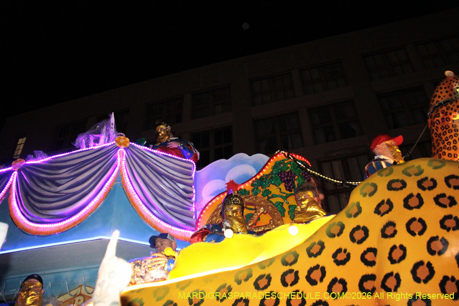 Krewe-of-Bacchus-2026-12189