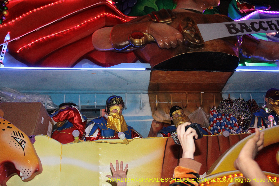 Krewe-of-Bacchus-2026-12192