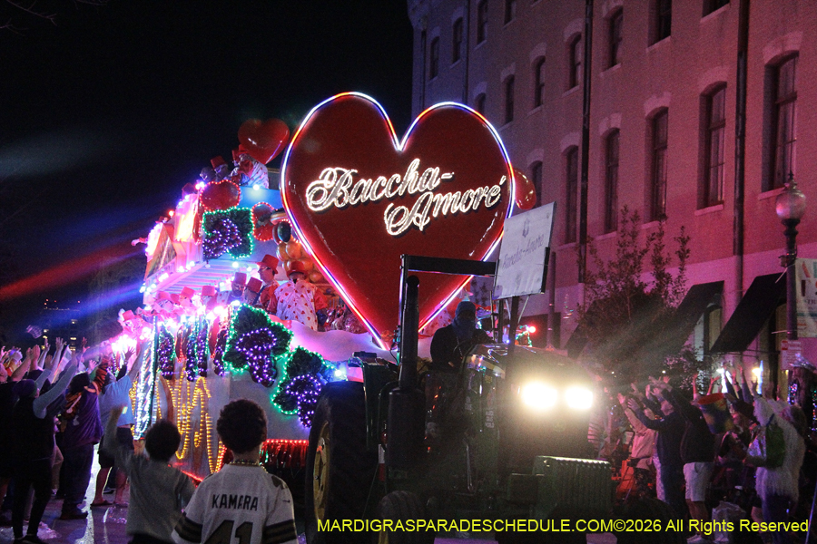 Krewe-of-Bacchus-2026-12237