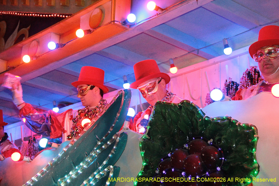 Krewe-of-Bacchus-2026-12239