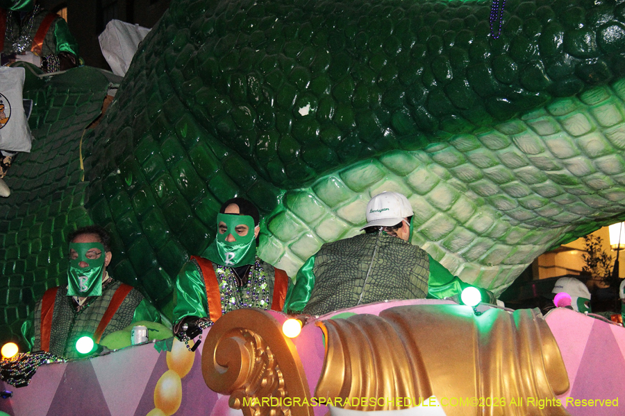 Krewe-of-Bacchus-2026-12265