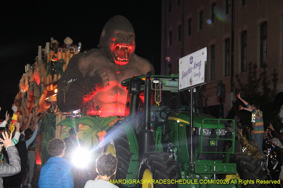 Krewe-of-Bacchus-2026-12327