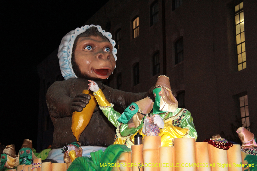 Krewe-of-Bacchus-2026-12331