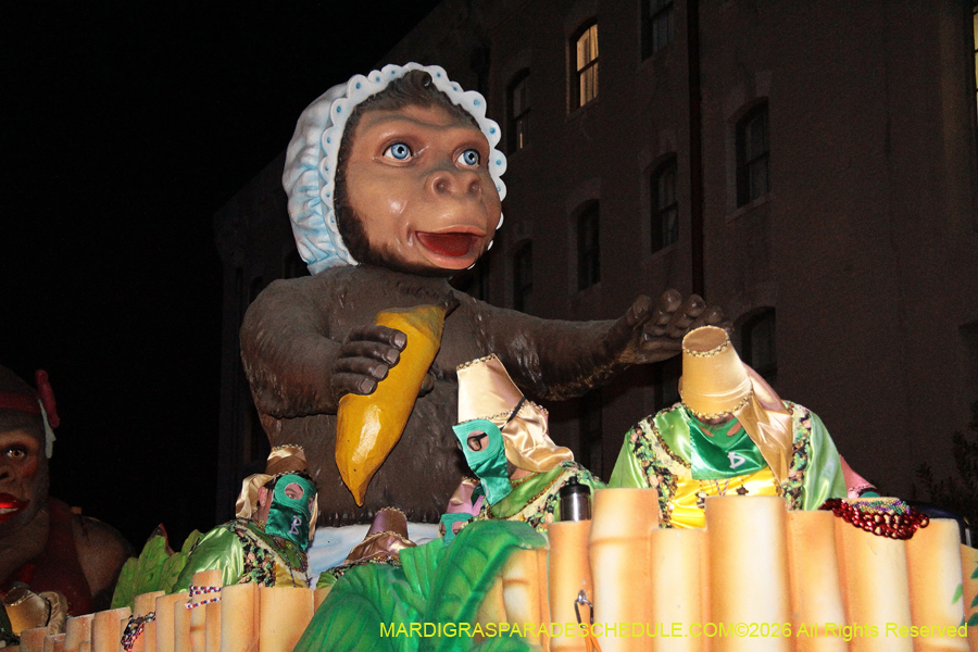 Krewe-of-Bacchus-2026-12333