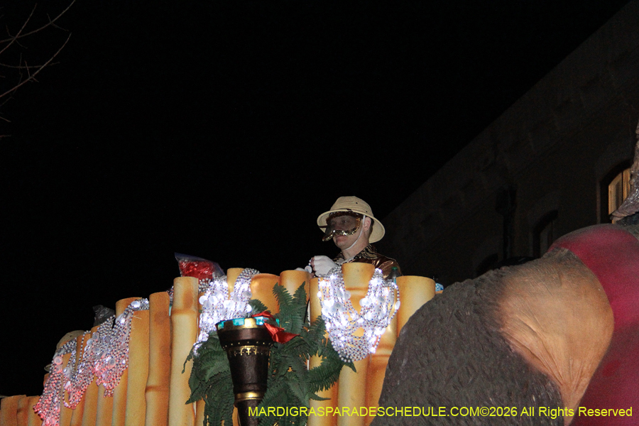Krewe-of-Bacchus-2026-12335