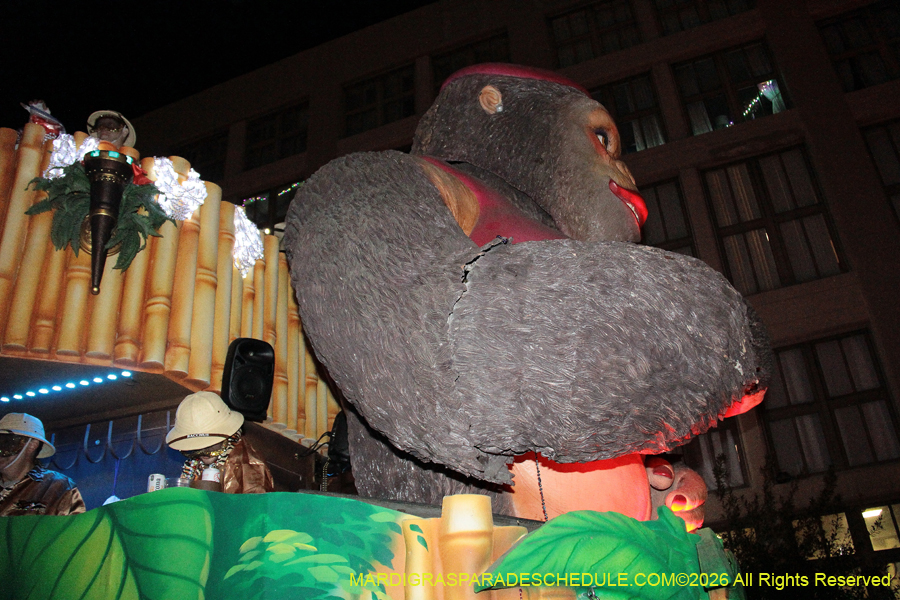 Krewe-of-Bacchus-2026-12336