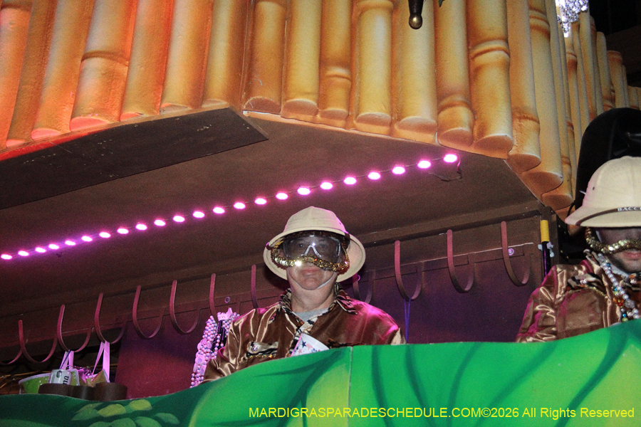 Krewe-of-Bacchus-2026-12337