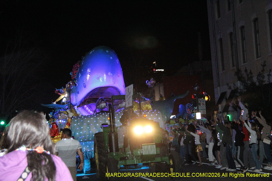 Krewe-of-Bacchus-2026-12424