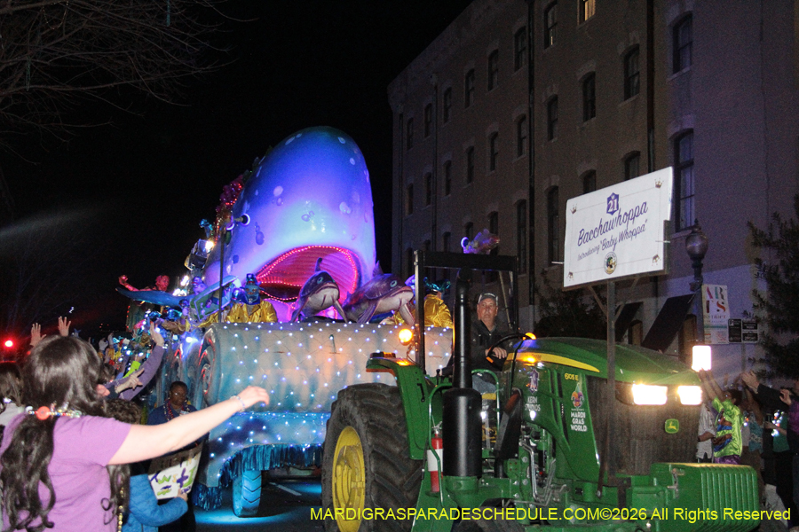Krewe-of-Bacchus-2026-12425