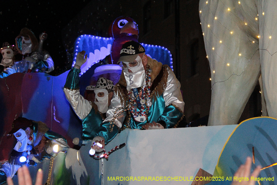 Krewe-of-Bacchus-2026-12460