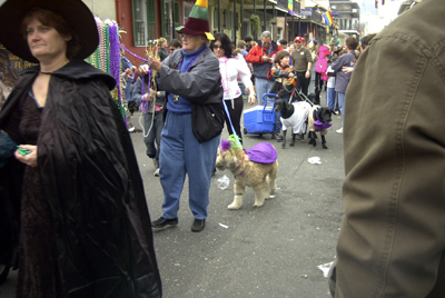 barkus2005_113