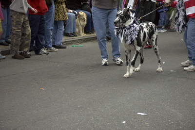 barkus2005_12