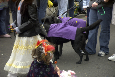barkus2005_120