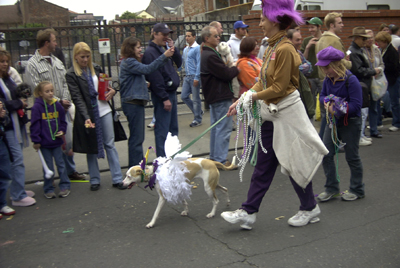 barkus2005_123