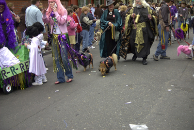barkus2005_127
