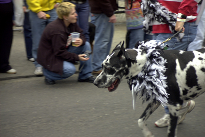 barkus2005_13