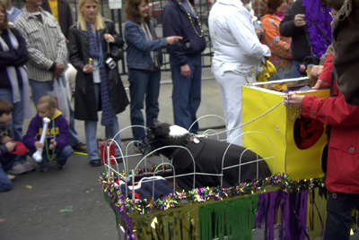 barkus2005_135