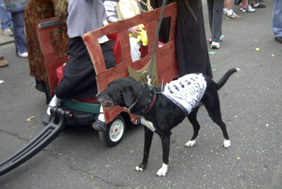 barkus2005_138