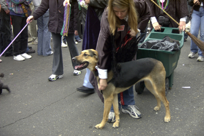 barkus2005_139