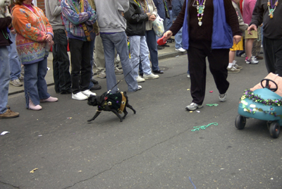 barkus2005_140