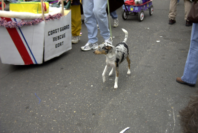 barkus2005_141