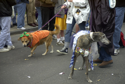 barkus2005_143