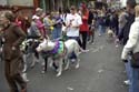 barkus2005_166