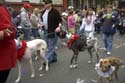 barkus2005_167
