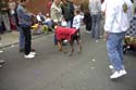 barkus2005_171