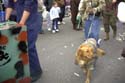 barkus2005_173