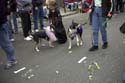 barkus2005_192