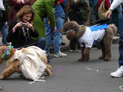 kreweofbarkus2006_00625