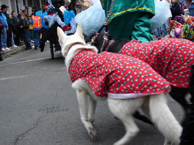 kreweofbarkus2006_00631