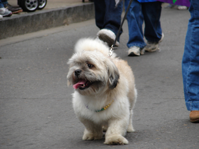 kreweofbarkus2006_00639