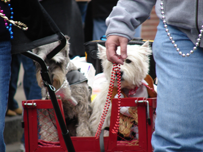 kreweofbarkus2006_00643