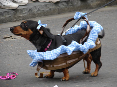 kreweofbarkus2006_00653