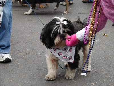 kreweofbarkus2006_00811