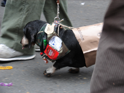 kreweofbarkus2006_00813