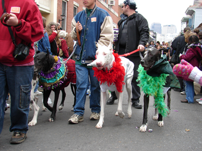 kreweofbarkus2006_00815