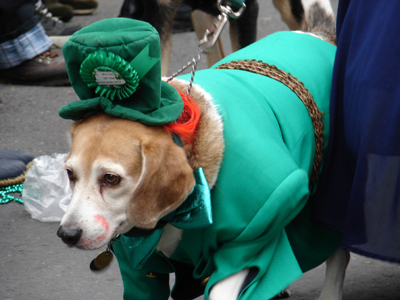 kreweofbarkus2006_00817