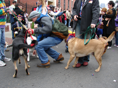 kreweofbarkus2006_00818
