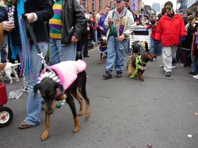 kreweofbarkus2006_00821