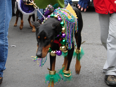 kreweofbarkus2006_00822