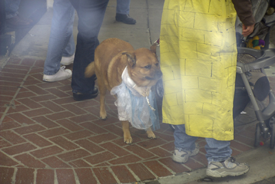 kreweofbarkus2006_00824