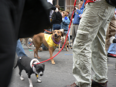 kreweofbarkus2006_00886