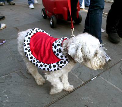 MYSTIC_KREWE_OF_BARKUS_2007_PARADE_PICTURES_0459