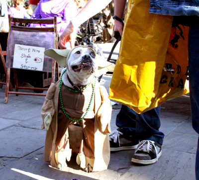 MYSTIC_KREWE_OF_BARKUS_2007_PARADE_PICTURES_0462