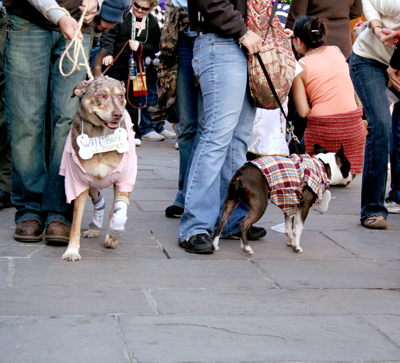 MYSTIC_KREWE_OF_BARKUS_2007_PARADE_PICTURES_0463
