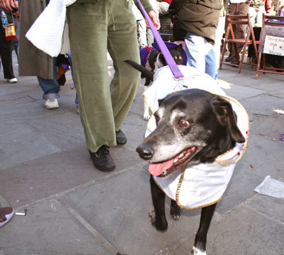 MYSTIC_KREWE_OF_BARKUS_2007_PARADE_PICTURES_0465